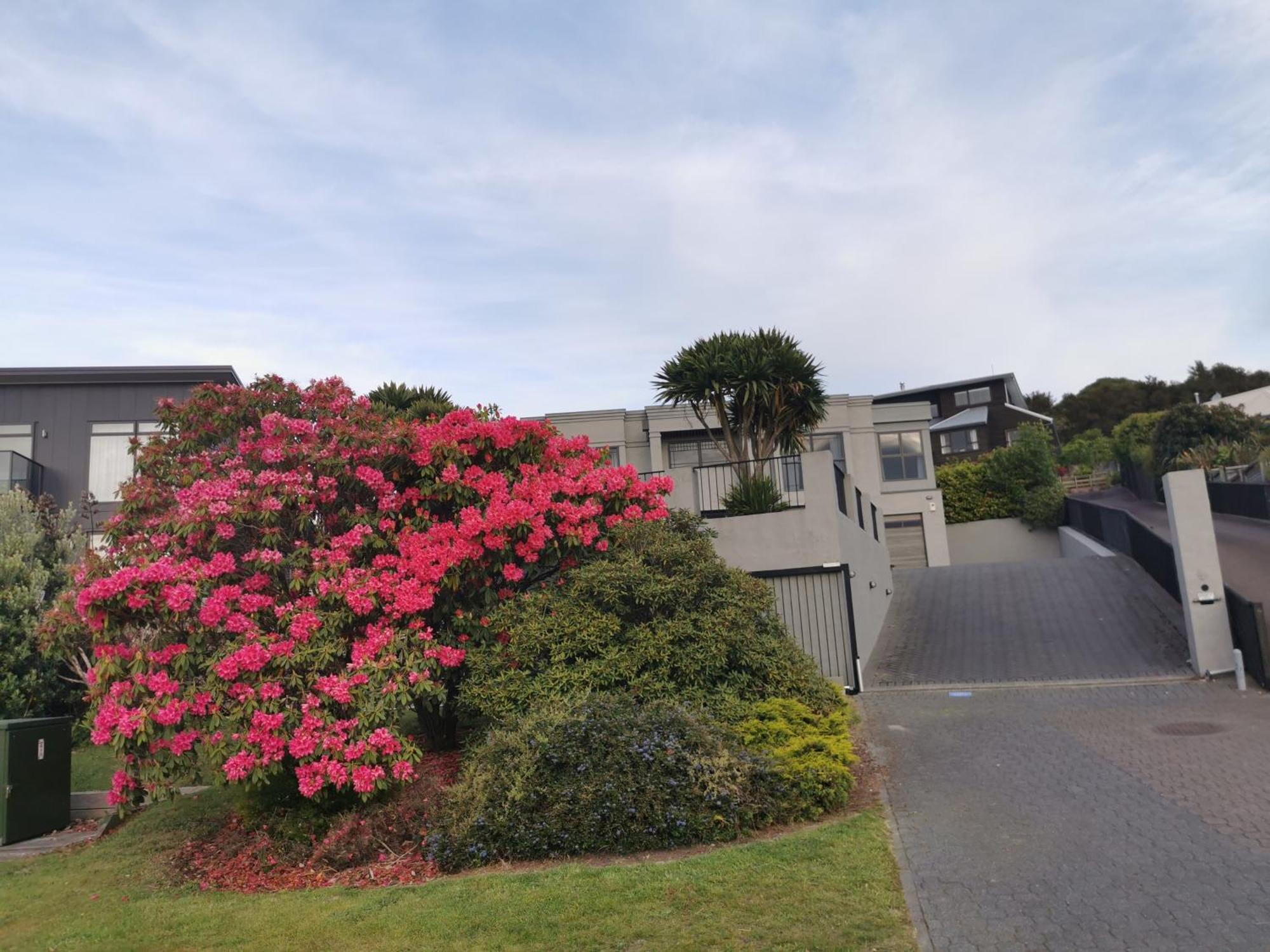 Lakeview Holiday Hideaway Lac Lac Taupo Extérieur photo