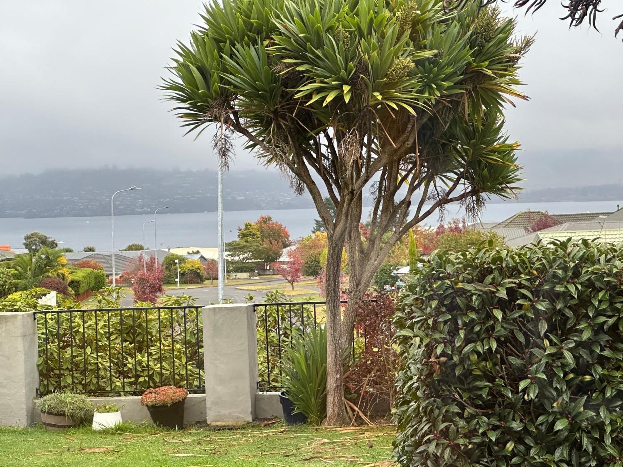 Lakeview Holiday Hideaway Lac Lac Taupo Extérieur photo